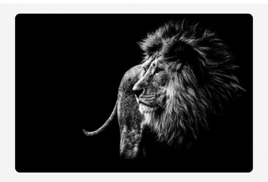 Lion Black and White Acrylic